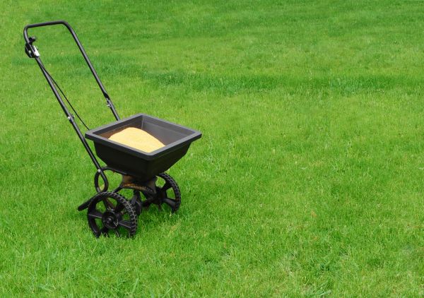 Hilton Head Island Lawn Treatment