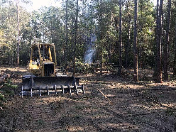 Hilton Head Island Land Clearing